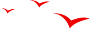 "" ""